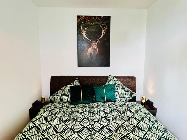 CASA CLARA Bright 2 room apartment, kitchen, and SmartTV, Magdeburg Amsterdam Apartments for Rent