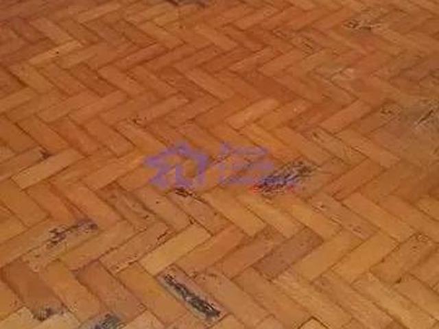 Casa com 4 dormitórios à venda Jardim Vila Carrão São Paulo