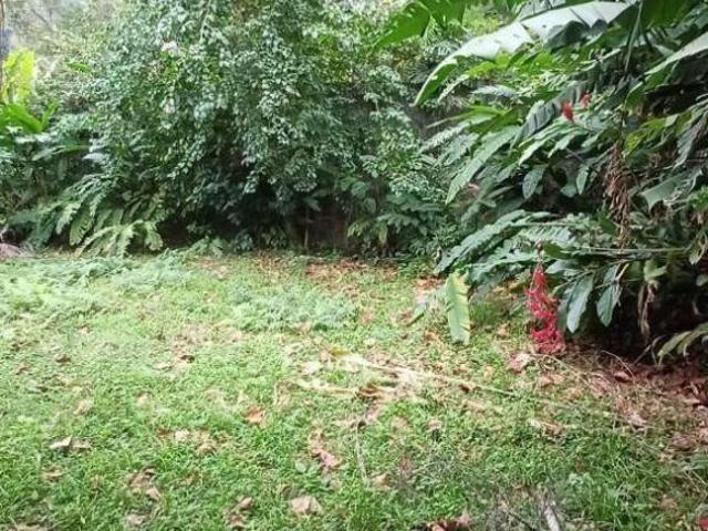 Casa com 5 dormitórios à venda, 370 m² por R$ 1.790.000 Toque Toque Pequeno São Sebastião/SP