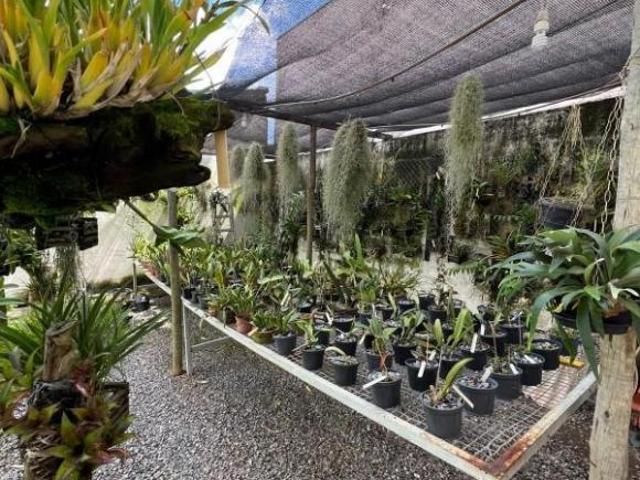 Casa com 5 quartos à venda em Viçosa, no bairro Santa Clara