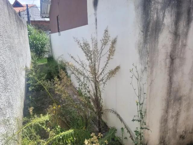 Casa com 1 dormitório para alugar, 50 m² por R$ 1.507,68/mês Vila Bremen Guarulhos/SP