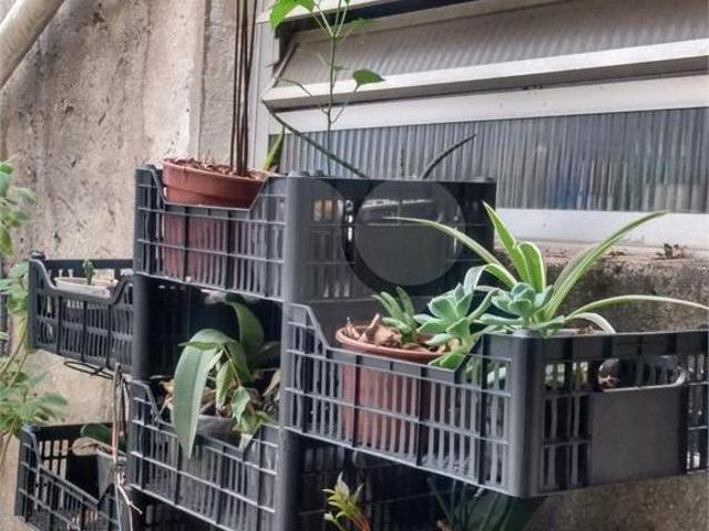 Casa com 1 quartos à venda em Vila maria alta SP