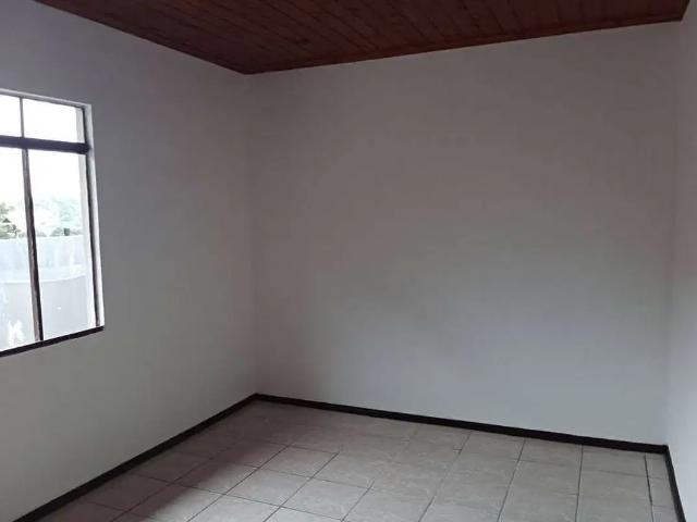 Casa com 2 quartos para alugar na Rua Clara Schreiner, Boehmerwald, São Bento do Sul