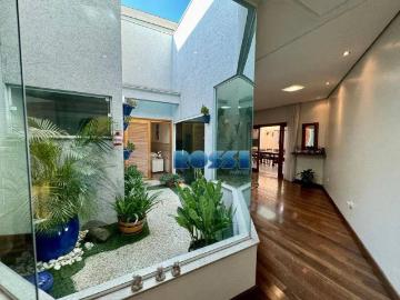 Rua Pires Pimentel, Quinta da Paineira, São Paulo, São Paulo