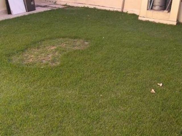 Casa com 3 quartos à venda em Contagem, no bairro Lúcio De Abreu