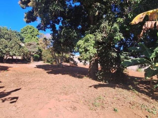 Casa com 3 quartos à venda em Nepomuceno, no bairro Centro