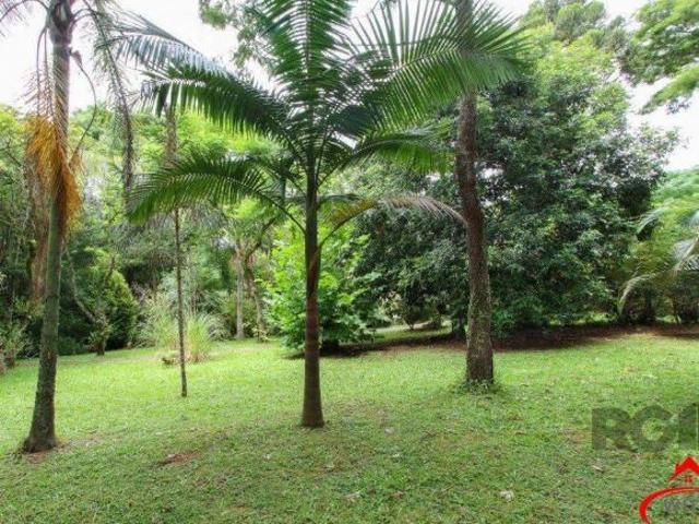 Sitio com casa com 3 quartos, suite, em terreno com 7.320m² Belem Velho