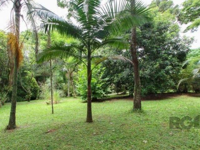 Casa com 3 quartos, suite em terreno com 7.320m² Belem Velho
