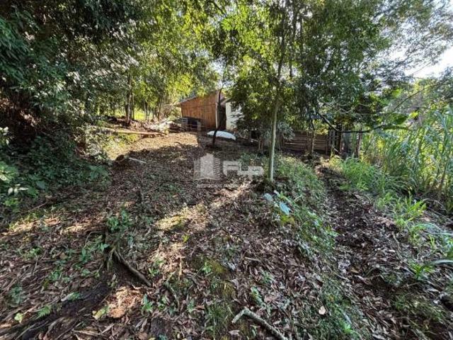 CASA COM AMPLO TERRENO NO PICÃO