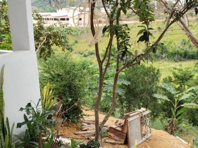 casa com amplo espaço externo