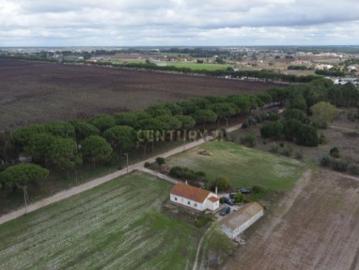 Poceirão e Marateca - Despensa