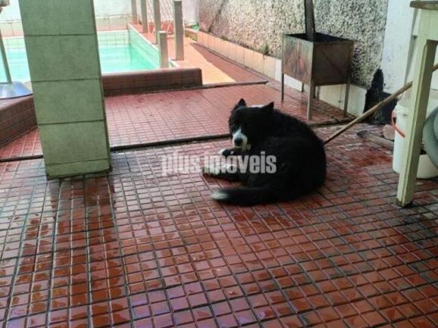 Casa com Piscina e Amplo Terreno
