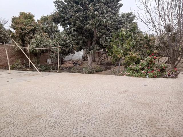Casa como terreno en Ica