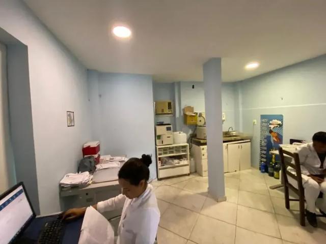 Casa comercial para aluguel e venda possui 600 metros quadrados com 6 quartos