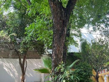 Casa con 615 m² superficie de terreno y 4 recámaras en venta en Fuentes del Valle