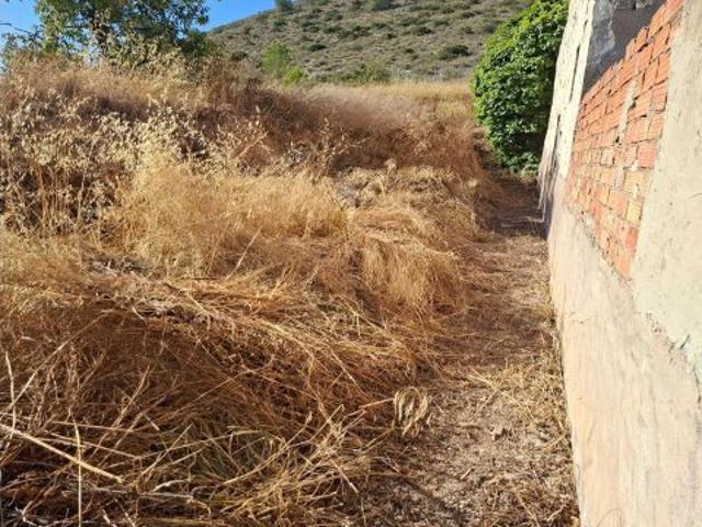 ¡ CASA CON TERRENO EN ALGUEÑA !
