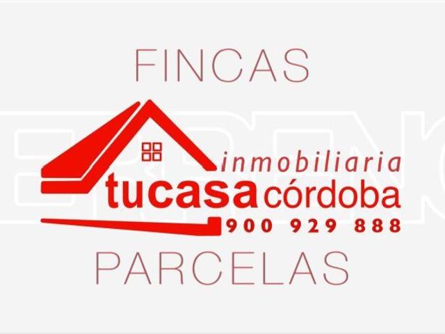 Casa con terreno en Almodovar