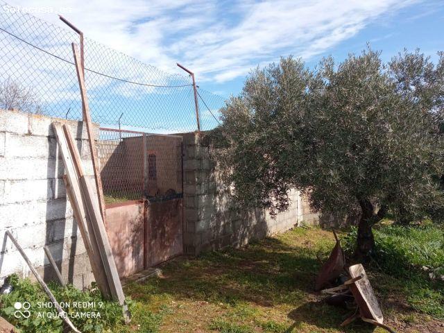 CASA CON TERRENO EN PUEBLONUEVO !