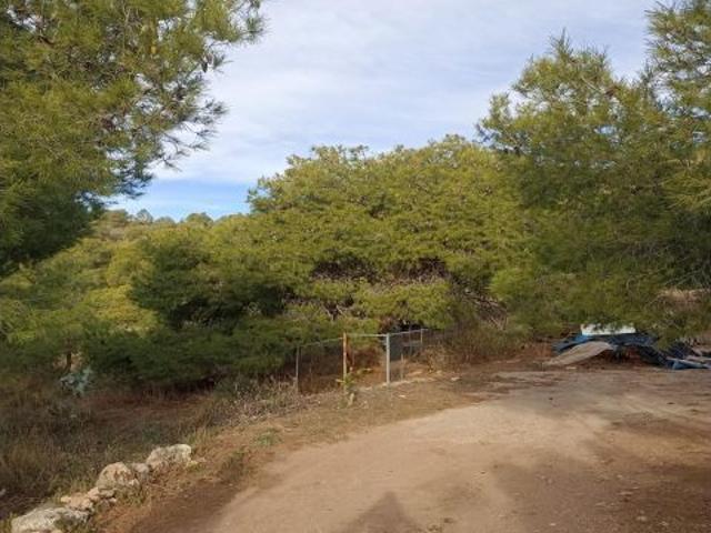 Casa con Terreno en Sierra Espuña