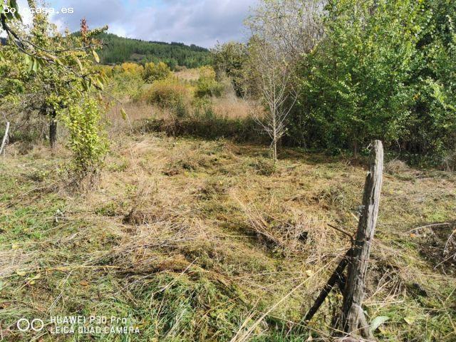 CASA CON TERRENO PARA REFORMAR EN ARGANZA