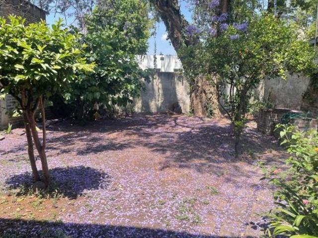 Casa con excelente jardín en Toriello Guerra