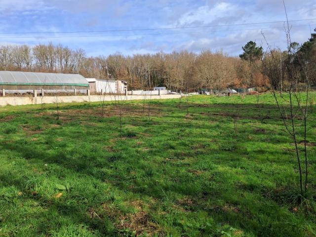 Casa con finca a 12 minutos de Ourense,Tamallancos