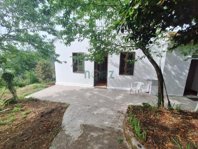 CASA CON FINCA EN CASTRELO DE MIÑO