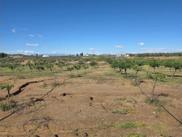 Casa con finca rústica reformada en la tranquila zona de El Salvador, Huercal Overa