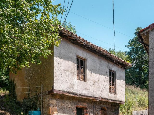 Casa con Gran Jardín para Reforma en el Corazón de Asturias: Conexión Perfecta entre Naturaleza y Se