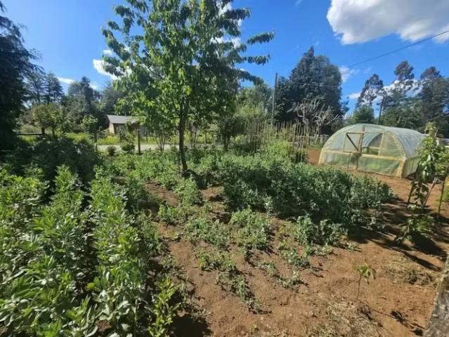 Casa con gran terreno en folilco los lagos | 2 dormitorios por 120000. 00 en Los Lagos