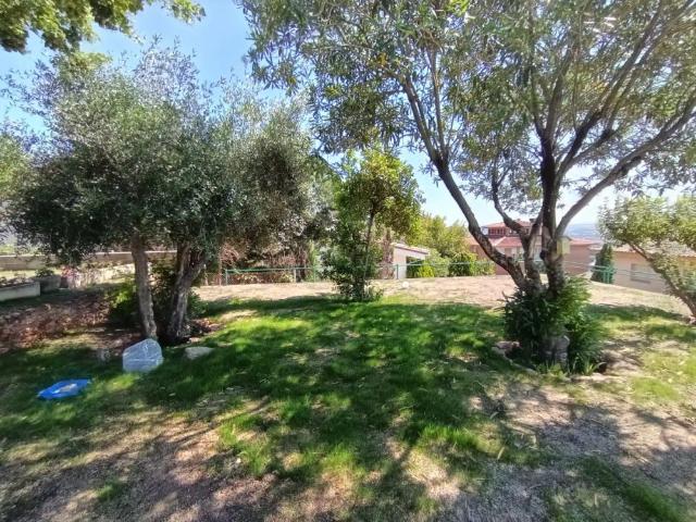 Casa con piscina en alquiler en PEIUS PASCUAL I CARBÓ