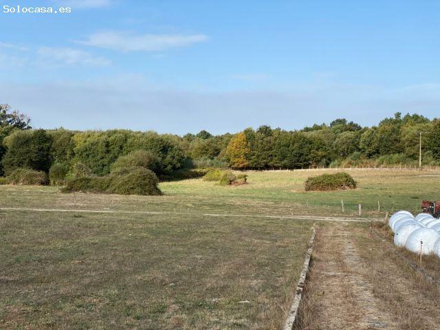 CASA CON PISCINA Y TRES HECTÁREAS DE FINCA EN AMOEIRO