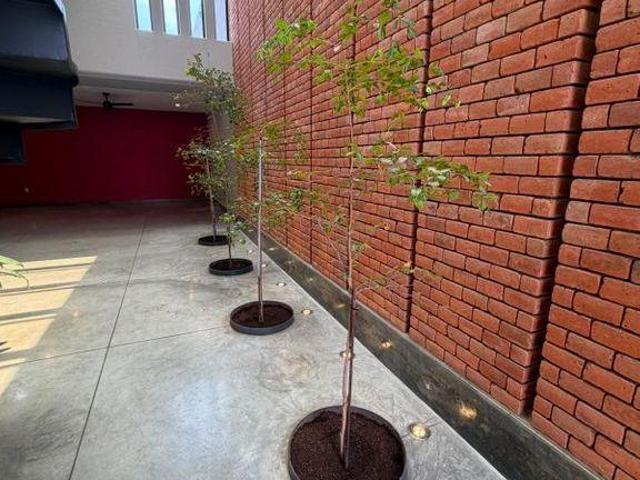 Casa con recamara en planta baja