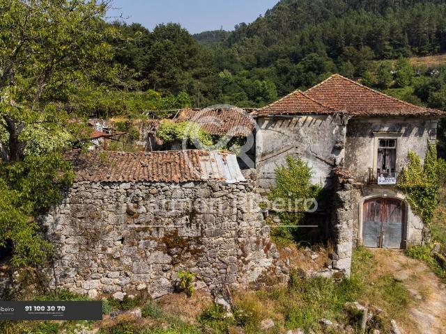 CASA DA RIBEIRA Quinta em Rossas Vieira do Minho com 4,9 Ha