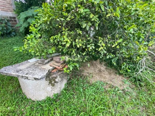 Casa de Madeira com 3 dormitórios localizada no Bairro Quilombo em Três Coroas