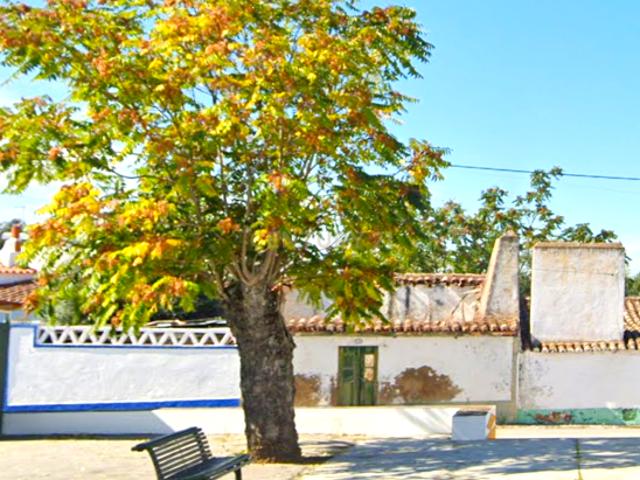 Oportunidade de Investimento, no Alentejo Casa de Aldeia com projeto