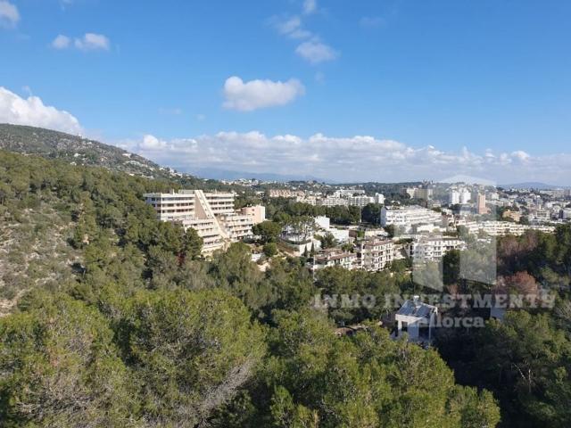 Casa de alto standing en venta Calvià, Baleares