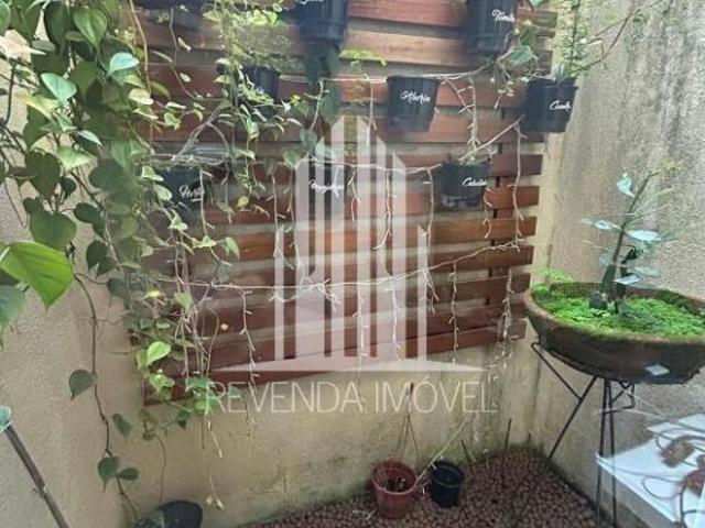 Casa de alto padrão em condomínio na Vila Campo Grande, São Paulo SP: 3 quartos