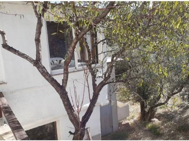 CASA DE CUATRO HABITACIONES Y TIERRAS EN BAYARQUE ALMERÍA