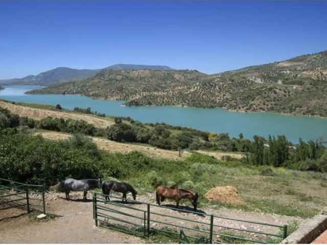 Casa de campo Masía en Venta en Montecorto Málaga