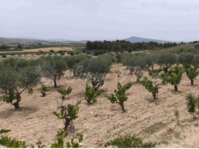 Casa de campo Masía en Venta en Montealegre Del Castillo Albacete