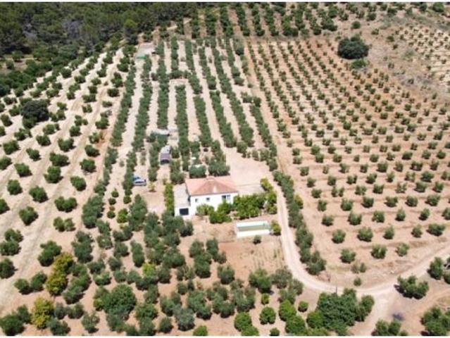 Casa de campo Masía en Venta en Montellano Sevilla