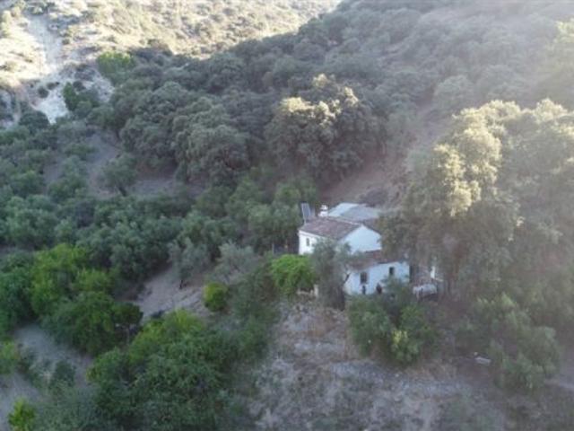 Casa de campo Masía en Venta en Alpandeire Málaga