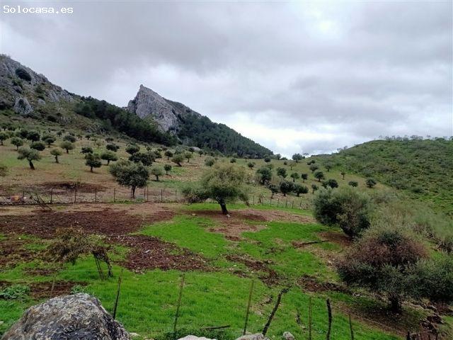 Casa de campo Masía en Venta en Benalauria Málaga