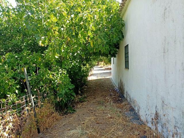 Casa de campo Masía en Venta en Benastepal Málaga