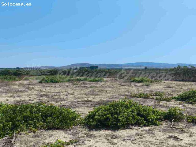 Casa de campo Masía en Venta en Caudete Albacete