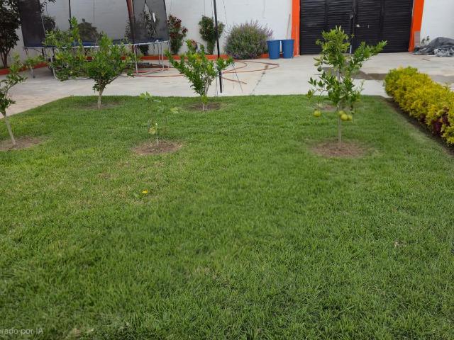 Casa de campo NATYLU1 en venta