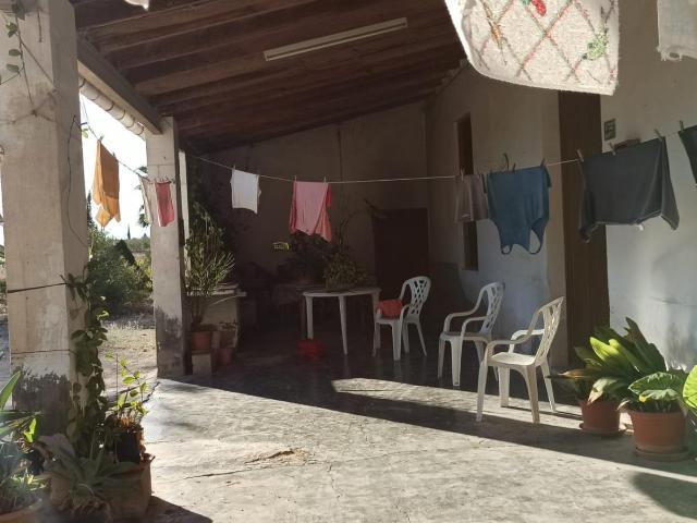 CASA DE CAMPO AUTOCTONA DE ELCHE