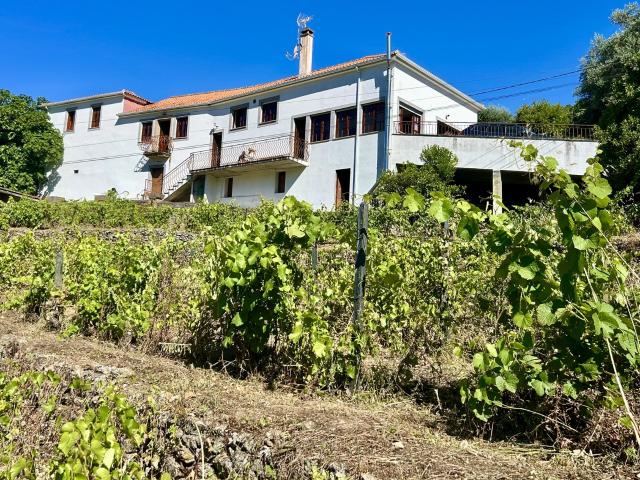 Casa de Campo com pequena Vinha 1000m² e Vistas Deslumbran. 220m² Castanheiro