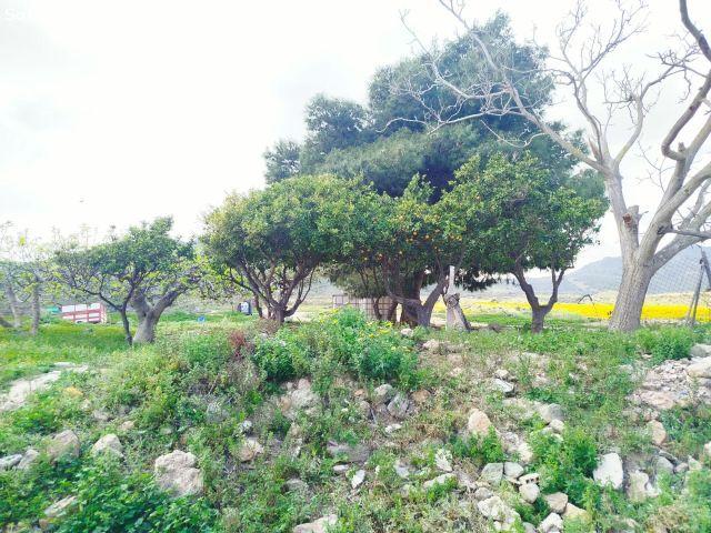 Casa de campo con terreno en Leiva Mazarrón – Proyecto ideal a 20 min del mar